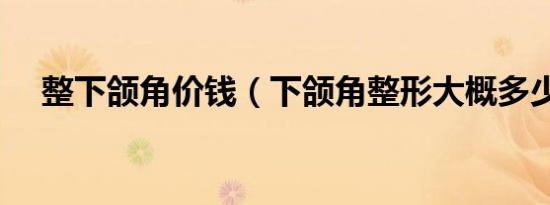 整下颌角价钱（下颌角整形大概多少钱）