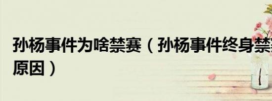孙杨事件为啥禁赛（孙杨事件终身禁赛是什么原因）