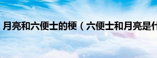 月亮和六便士的梗（六便士和月亮是什么梗）