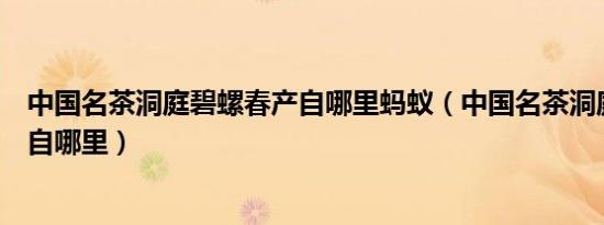 中国名茶洞庭碧螺春产自哪里蚂蚁（中国名茶洞庭碧螺春产自哪里）
