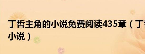 丁哲主角的小说免费阅读435章（丁哲主角的小说）