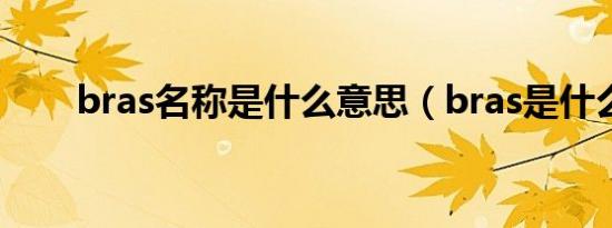 bras名称是什么意思（bras是什么）