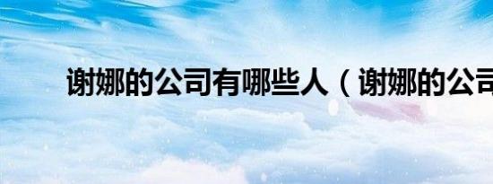 谢娜的公司有哪些人（谢娜的公司）