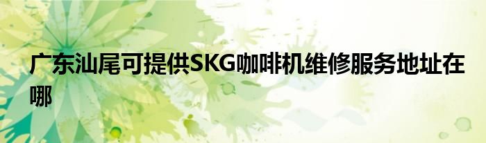 广东汕尾可提供SKG咖啡机维修服务地址在哪
