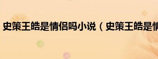 史策王皓是情侣吗小说（史策王皓是情侣吗）