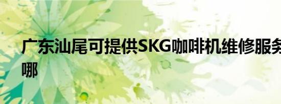 广东汕尾可提供SKG咖啡机维修服务地址在哪