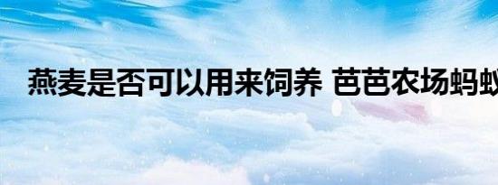 燕麦是否可以用来饲养 芭芭农场蚂蚁庄园