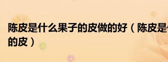 陈皮是什么果子的皮做的好（陈皮是什么果子的皮）