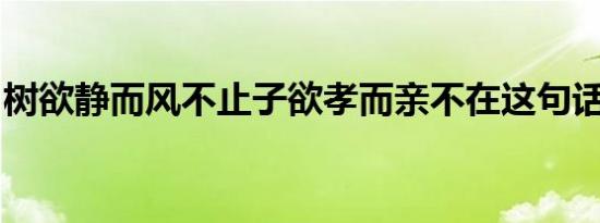 树欲静而风不止子欲孝而亲不在这句话的意思