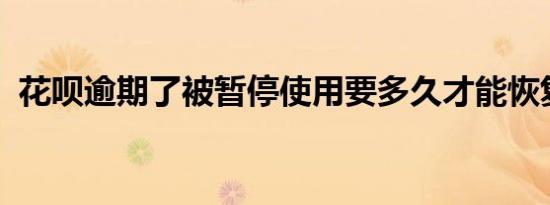花呗逾期了被暂停使用要多久才能恢复借呗