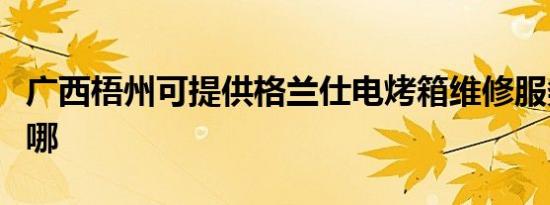 广西梧州可提供格兰仕电烤箱维修服务地址在哪