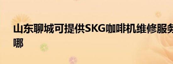 山东聊城可提供SKG咖啡机维修服务地址在哪