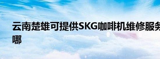 云南楚雄可提供SKG咖啡机维修服务地址在哪