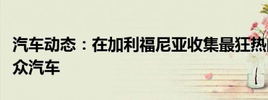 汽车动态：在加利福尼亚收集最狂热的空气大众汽车