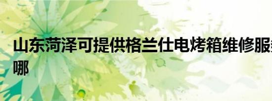 山东菏泽可提供格兰仕电烤箱维修服务地址在哪