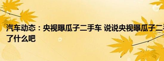 汽车动态：央视曝瓜子二手车 说说央视曝瓜子二手车都曝光了什么吧