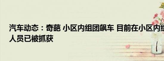 汽车动态：奇葩 小区内组团飙车 目前在小区内组团飙车的人员已被抓获