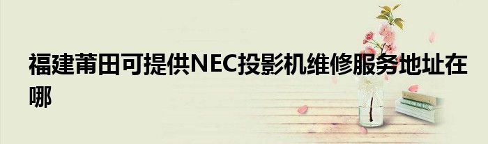 福建莆田可提供NEC投影机维修服务地址在哪