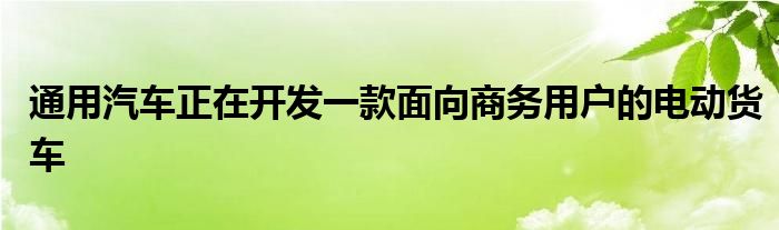 通用汽车正在开发一款面向商务用户的电动货车