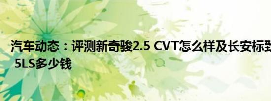 汽车动态：评测新奇骏2.5 CVT怎么样及长安标致雪铁龙DS 5LS多少钱