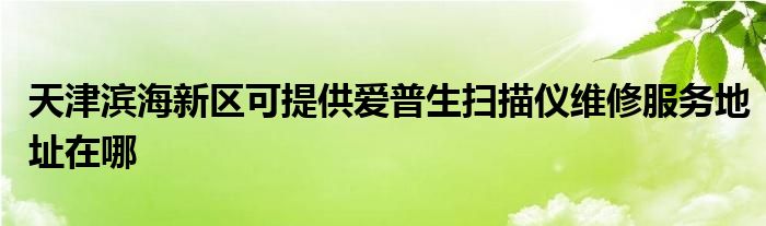 天津滨海新区可提供爱普生扫描仪维修服务地址在哪