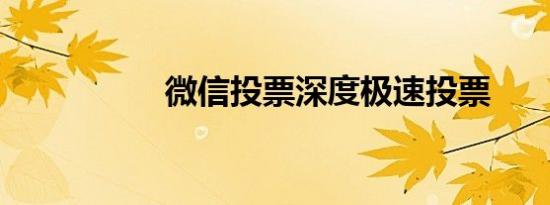微信投票深度极速投票