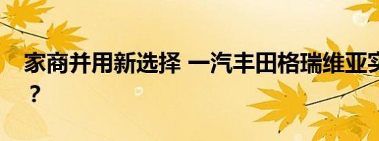 家商并用新选择 一汽丰田格瑞维亚实力几何？