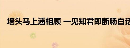 墙头马上遥相顾 一见知君即断肠白话解释
