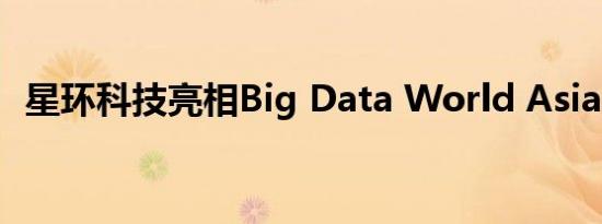 星环科技亮相Big Data World Asia 2019