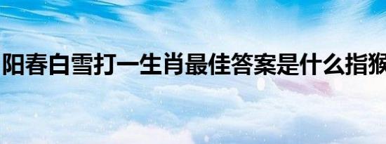 阳春白雪打一生肖最佳答案是什么指猴正确吗