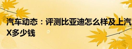 汽车动态：评测比亚迪怎么样及上汽大众途昂X多少钱