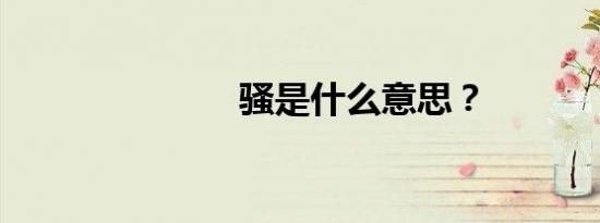 骚是什么意思？
