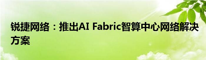 锐捷网络：推出AI Fabric智算中心网络解决方案