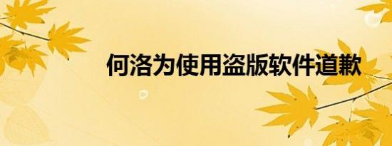 何洛为使用盗版软件道歉