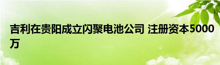 吉利在贵阳成立闪聚电池公司 注册资本5000万