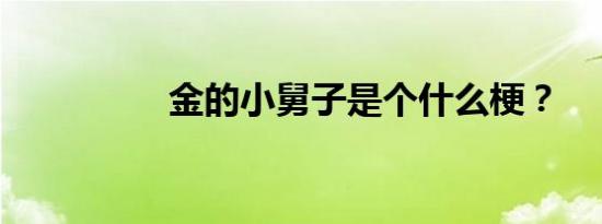 金的小舅子是个什么梗？