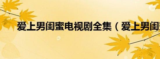 爱上男闺蜜电视剧全集（爱上男闺蜜）