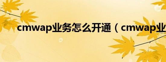 cmwap业务怎么开通（cmwap业务）