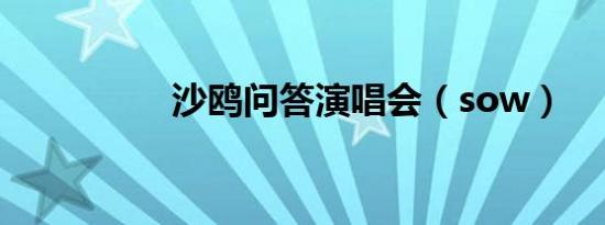 沙鸥问答演唱会（sow）