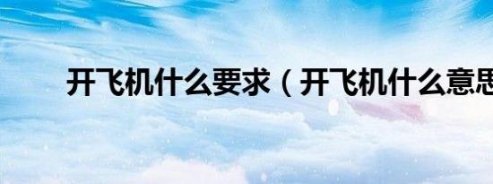 开飞机什么要求（开飞机什么意思）