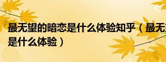 最无望的暗恋是什么体验知乎（最无望的暗恋是什么体验）