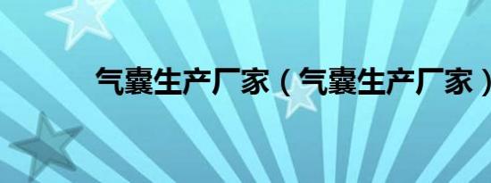 气囊生产厂家（气囊生产厂家）