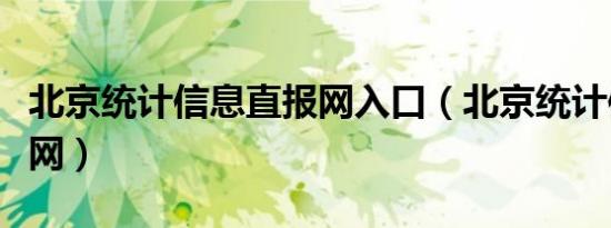 北京统计信息直报网入口（北京统计信息直报网）