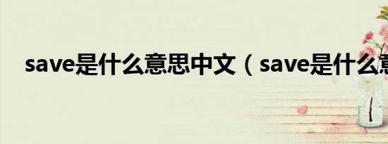 save是什么意思中文（save是什么意思）