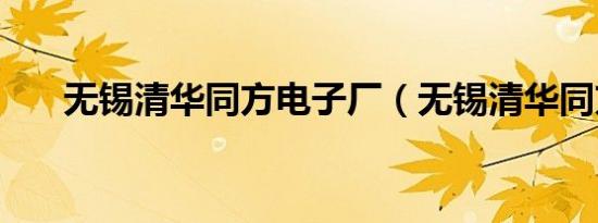 无锡清华同方电子厂（无锡清华同方）