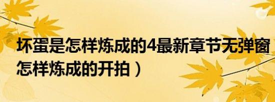 坏蛋是怎样炼成的4最新章节无弹窗（坏蛋是怎样炼成的开拍）