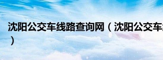 沈阳公交车线路查询网（沈阳公交车线路查询）
