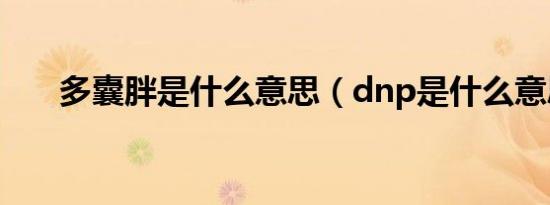 多囊胖是什么意思（dnp是什么意思）
