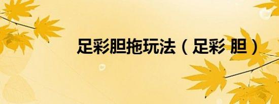 足彩胆拖玩法（足彩 胆）