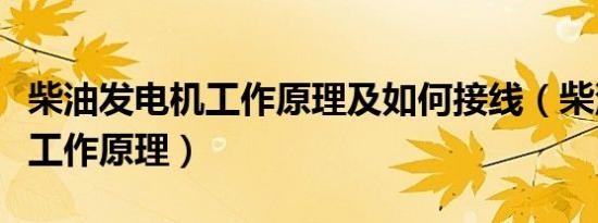 柴油发电机工作原理及如何接线（柴油发电机工作原理）